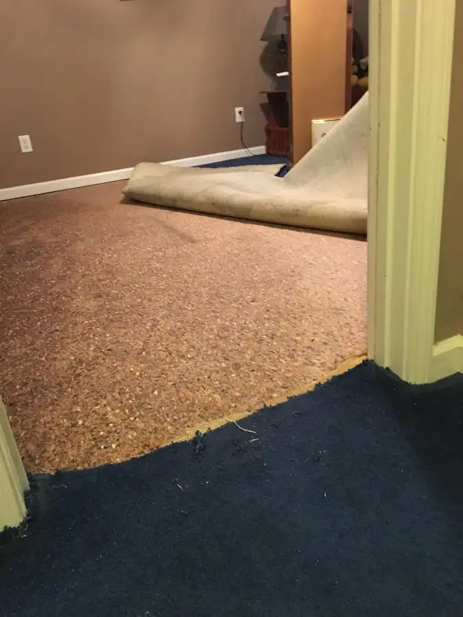 Carpet pad removal revealing water damage during Water Mitigation Services in Conshohocken