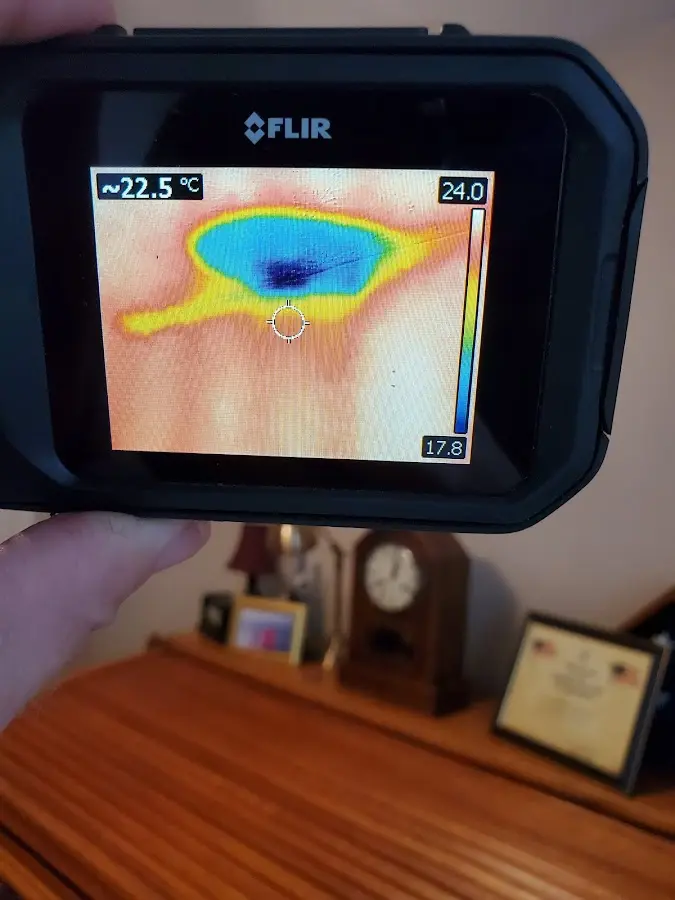 Thermal imaging inspection for water damage in Conshohocken